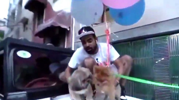 Hindistan'da YouTuber, köpeğini balonlarla uçurmaya çalıştı