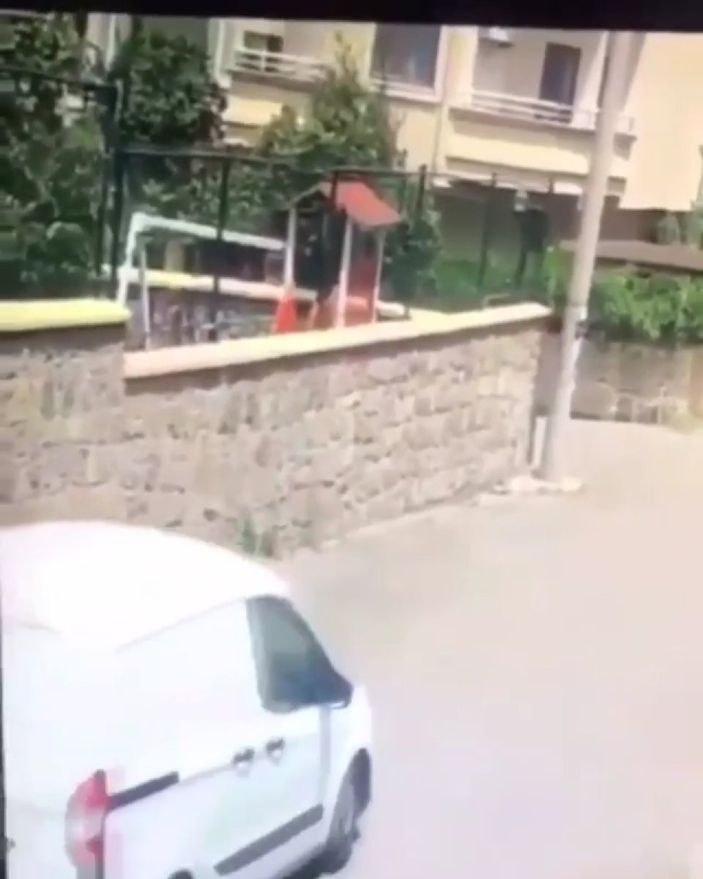 Gebze'de aracın köpeği ezdiği anlar