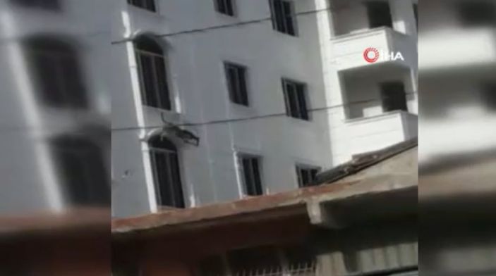 i Sultangazi’de köpek çıkış yolunu bulamadı, balkondan atladı