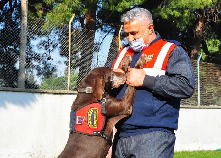 Manisa'da narkotik köpeği Volta emekli oldu