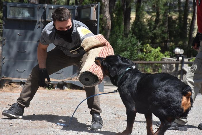 İzmir'de sahibi uyuşturucudan tutuklanan köpek, polisler tarafından eğitildi