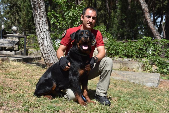 İzmir'de sahibi uyuşturucudan tutuklanan köpek, polisler tarafından eğitildi