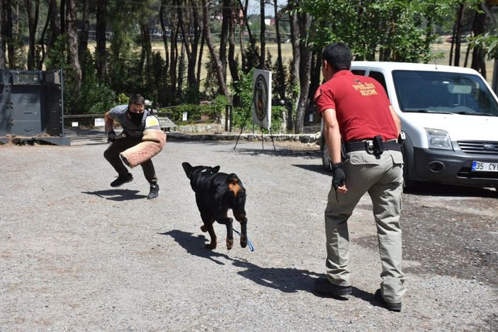 İzmir'de sahibi uyuşturucudan tutuklanan köpek, polisler tarafından eğitildi