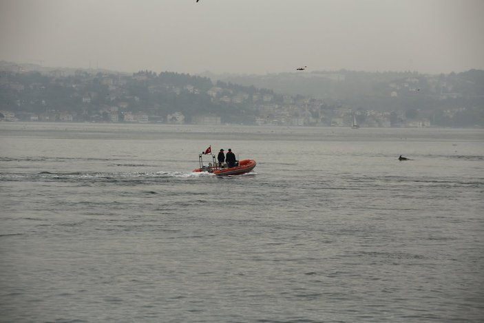 İstanbul Boğazı'nda, yağmurla birlikte yunus balıkları görüldü