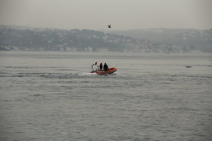 İstanbul Boğazı'nda, yağmurla birlikte yunus balıkları görüldü