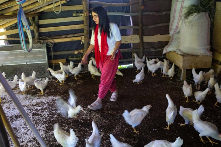 Tunceli'de köy köy gezip canlı tavuk dağıttılar