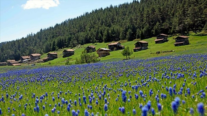 Kastamonu yaylaları ziyaretçilerini bekliyor