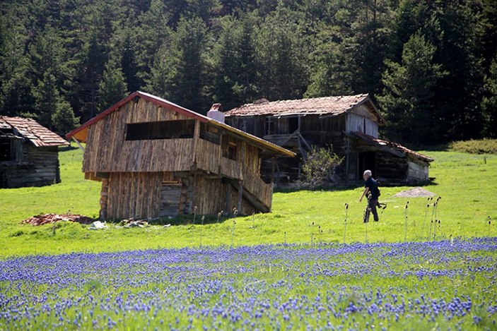 Kastamonu yaylaları ziyaretçilerini bekliyor