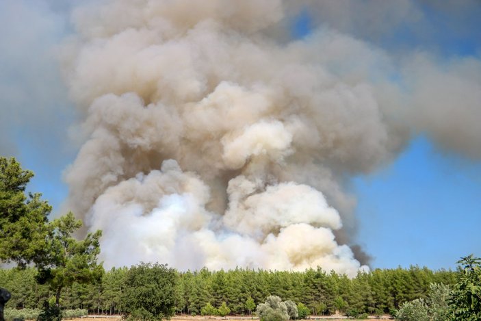 Antalya, orman yangınlarına karşı kurallarla önlem aldı