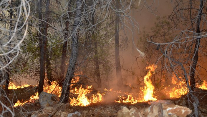 Antalya, orman yangınlarına karşı kurallarla önlem aldı