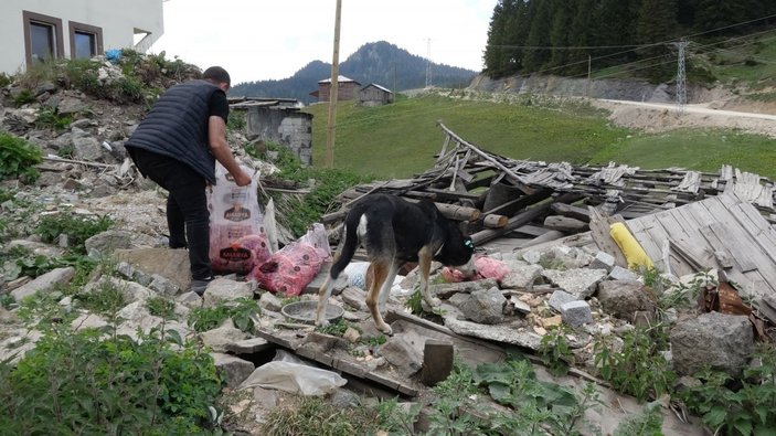 Trabzon'da köye inen ayılara ‘sakatat’ engeli