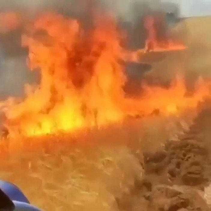 Mardin'de buğday tarlasında yangın