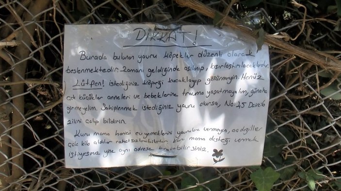 Sarıyer’de otomobili ile yavru köpeği ezip kaçtı