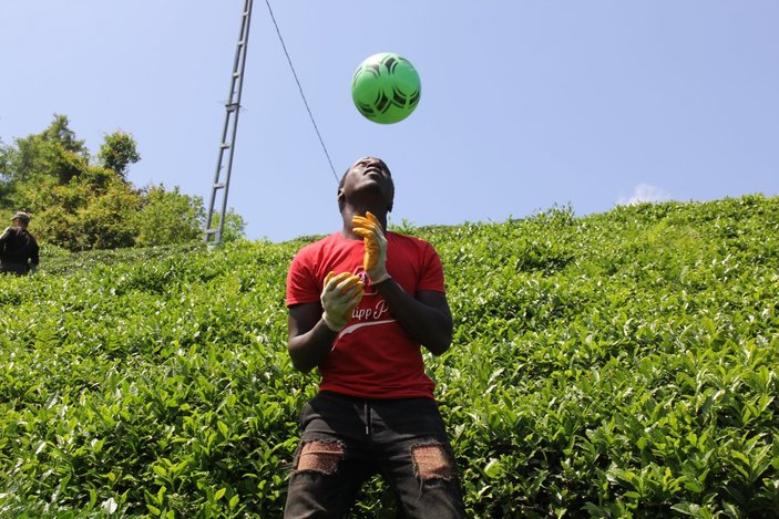 Rize'deki Afrikalı çay işçilerinin futbol eğlencesi