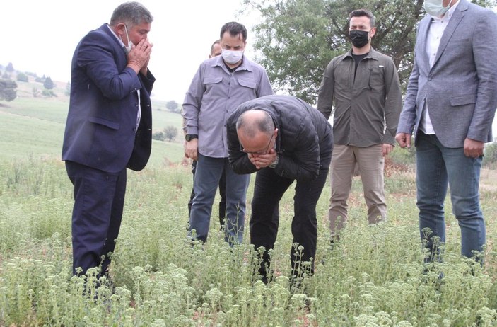 Denizli'de mahalleli istedi, vali taş ocağını kapattı