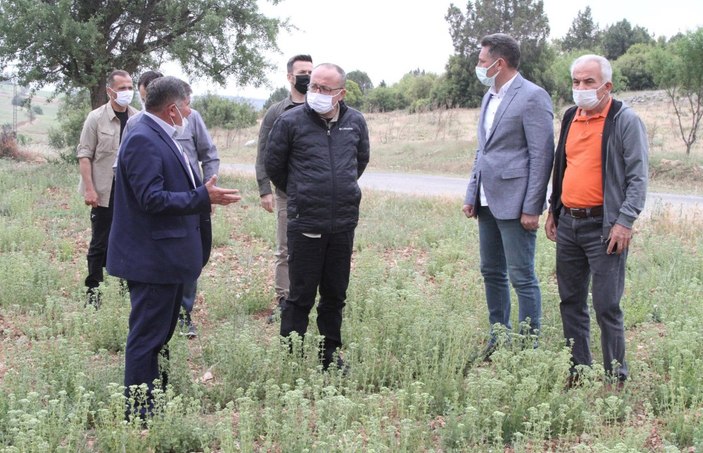 Denizli'de mahalleli istedi, vali taş ocağını kapattı