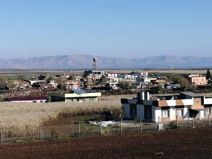 d Mardin'de silahlı saldırı: 1 ölü