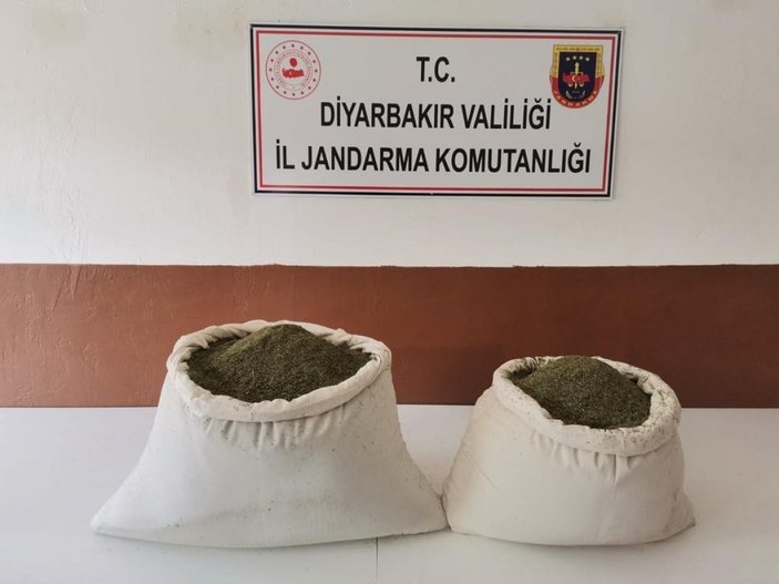 Diyarbakır’da 7 milyon 233 bin kök kenevir ele geçirildi