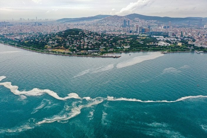 Bostancı sahilinde deniz salyası yoğunluğu su altı kamerasıyla görüntülendi