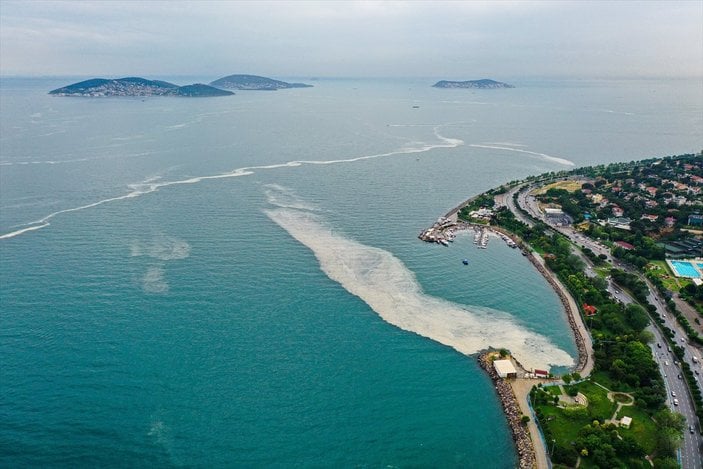 Bostancı sahilinde deniz salyası yoğunluğu su altı kamerasıyla görüntülendi