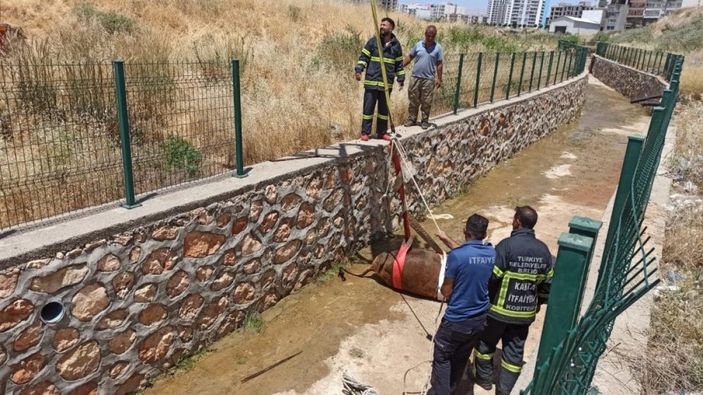 Adıyaman'da su kanalına düşen inek kurtarıldı