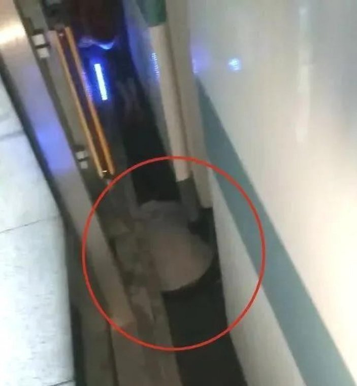 Çin’de arabasından kayan bebek, metro ile platform arasındaki boşluğa düştü