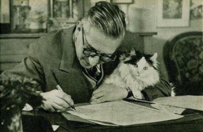 Edebiyatta kedi metaforu ve yazarların sevgisi