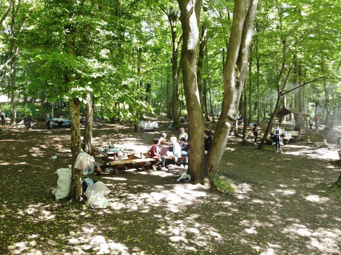 Belgrad Ormanı'nda kısıtlamasız ilk cumartesi yoğunluğu