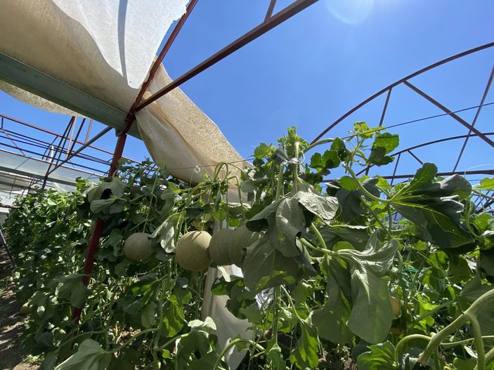 i Antalya'da hortum seraları uçurdu