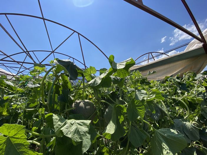 i Antalya'da hortum seraları uçurdu