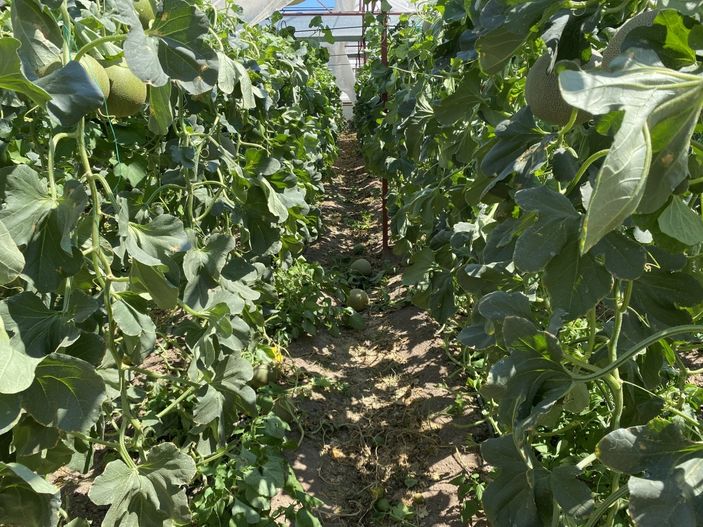 i Antalya'da hortum seraları uçurdu