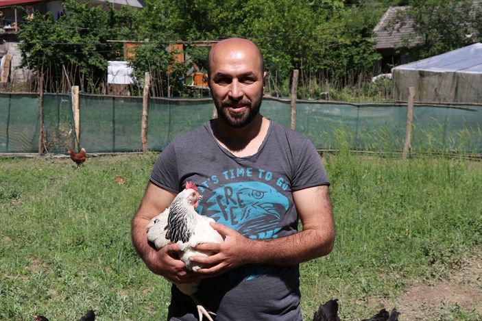 a Karabük'te ekili alanlar için tavuklara tünelli çözüm