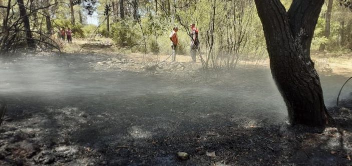 i Muğla'da araç yangını ormana sıçradı
