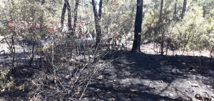 i Muğla'da araç yangını ormana sıçradı