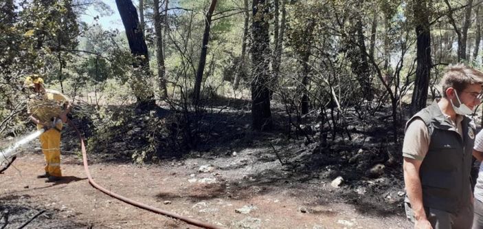 i Muğla'da araç yangını ormana sıçradı