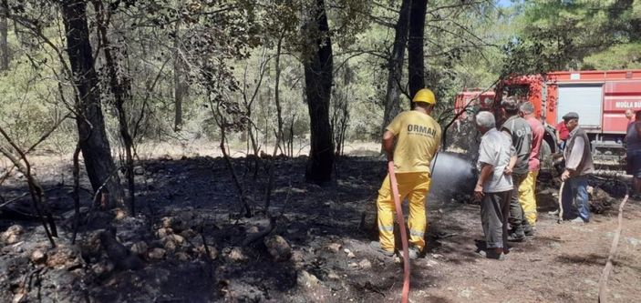 i Muğla'da araç yangını ormana sıçradı