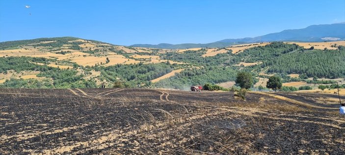 Osmaniye'de buğday ekili tarlada yangın çıktı