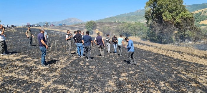 Osmaniye'de buğday ekili tarlada yangın çıktı