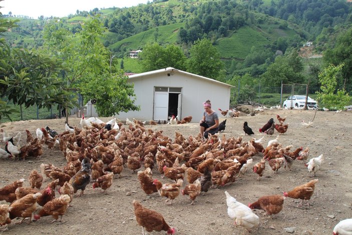 Rizeli girişimci kadın, köyüne dönüp tavuk çiftliği kurdu