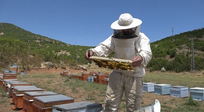 aa Arıcıların bal mesaisi başladı