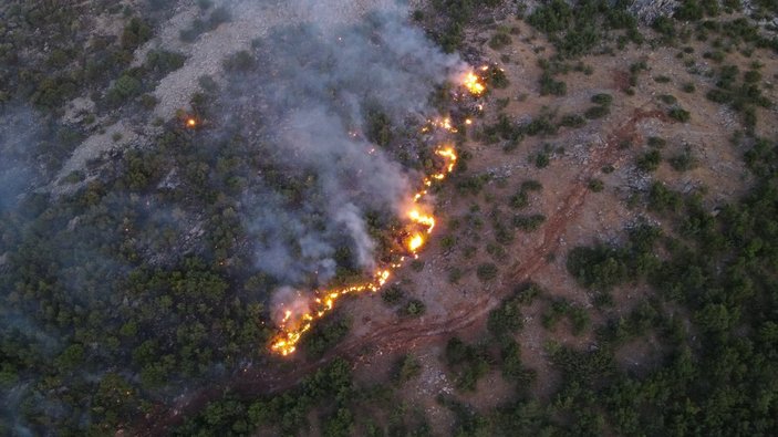 Elazığ-Diyarbakır sınırı arasında orman yangını