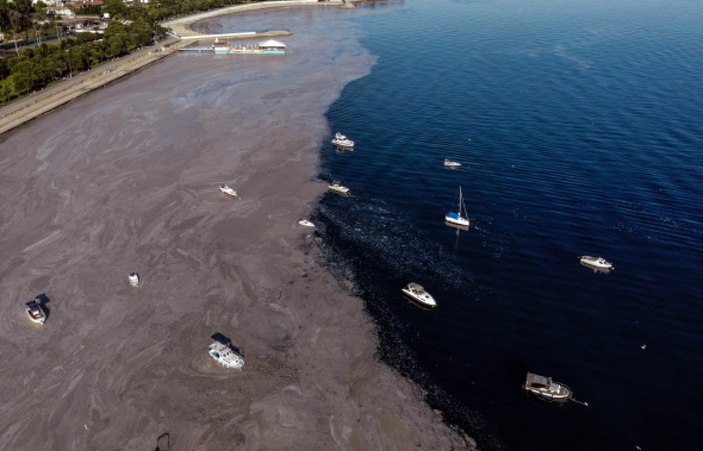 Caddebostan sahilinde müsilaj temizliği