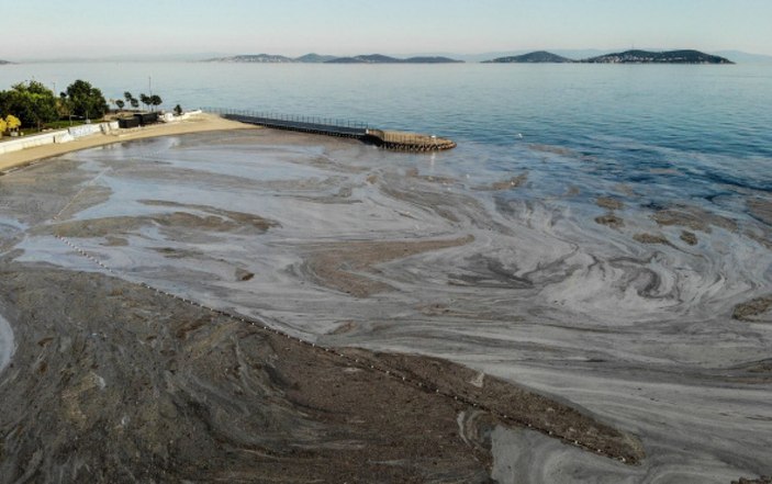 Caddebostan sahilinde müsilaj temizliği