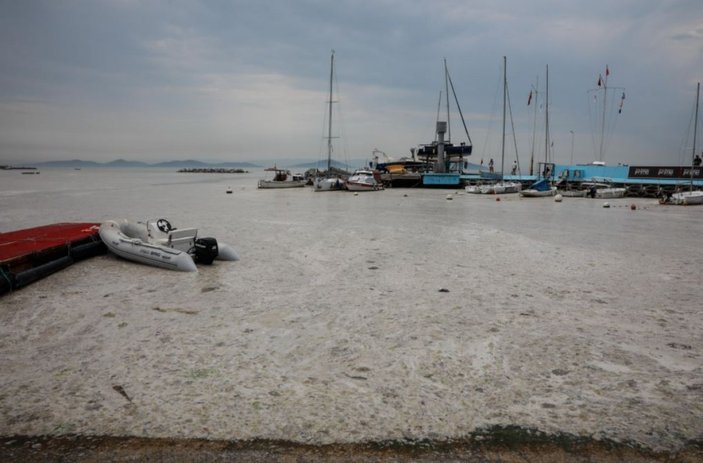 Kadıköy Kurbağlıdere deniz salyasıyla kaplandı