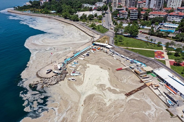 Çevre ve Şehircilik Bakanlığı'ndan 'müsilaj' genelgesi