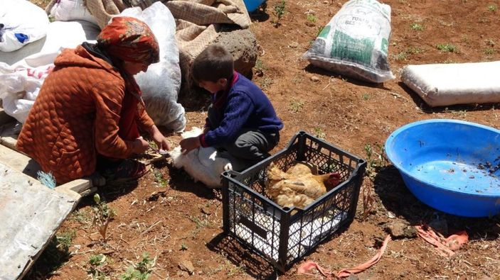 Muş'ta besicilerin yayla yolculuğu başladı
