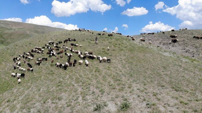 Muş'ta besicilerin yayla yolculuğu başladı