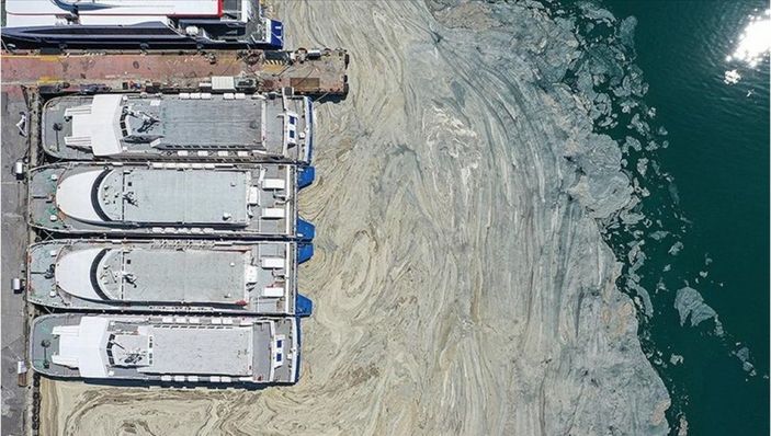 Müsilaj için yeni umut: Reaktif oksijen nedir?