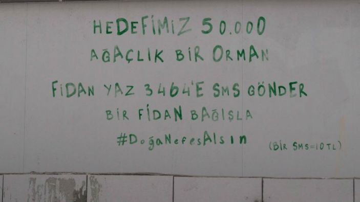 Çukur Doğa Nefes Alsın kampanyası: Çukur Ormanı fidan bağışı nasıl yapılır?