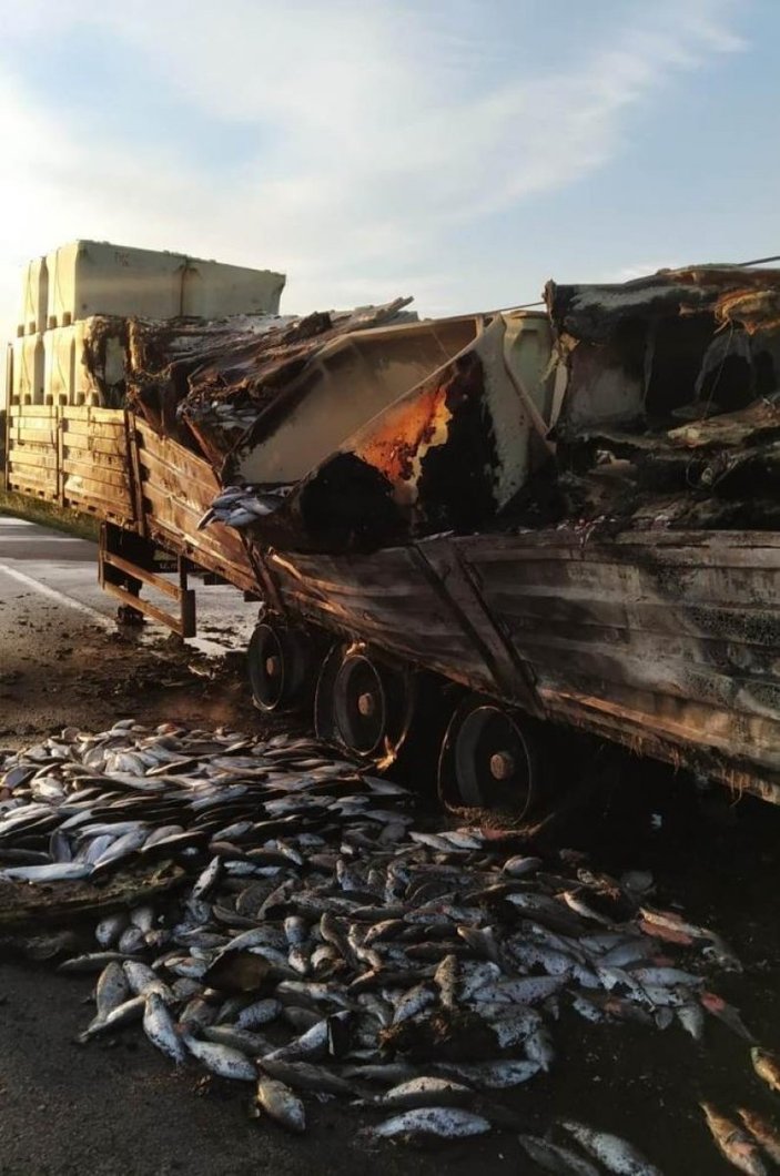 Samsun'da balık yüklü tırda yangın çıktı